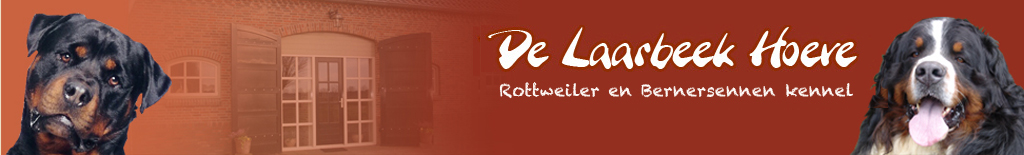 header.jpg