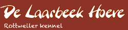 logo.jpg